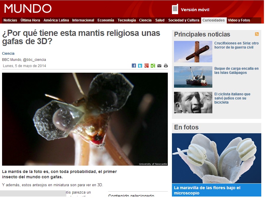 BBCMundo