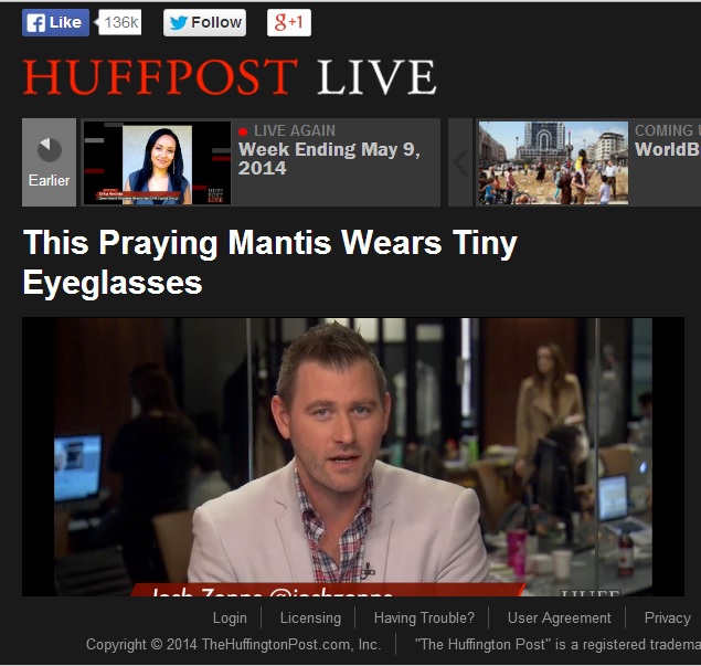 HuffPoLive