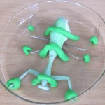 Immobilised mantis